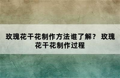 玫瑰花干花制作方法谁了解？ 玫瑰花干花制作过程